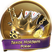 texas holdem poker